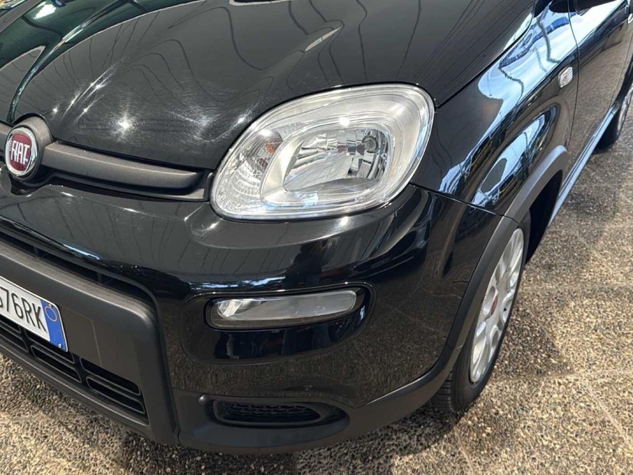 Fiat Fiat Panda usata 16