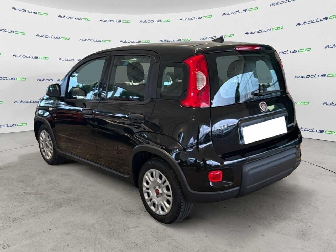 Fiat Fiat Panda usata 20