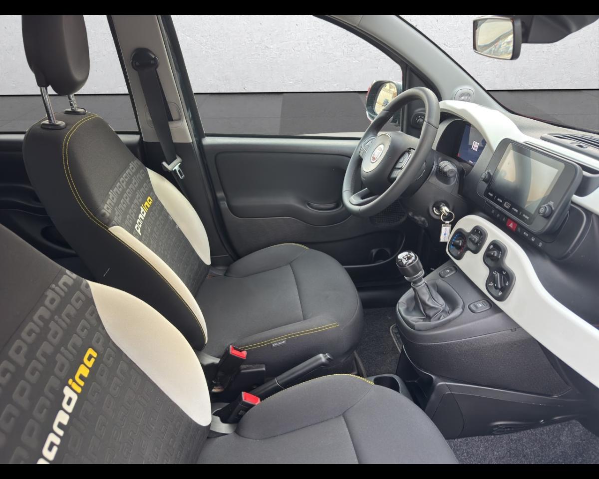 Fiat Fiat Panda usata 12