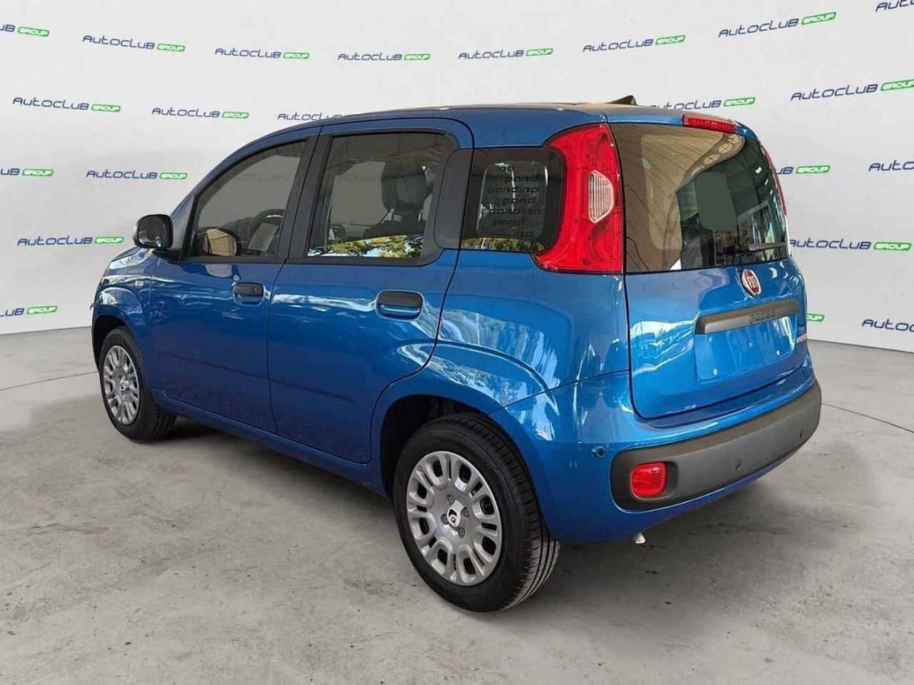 Fiat Fiat Panda usata 20