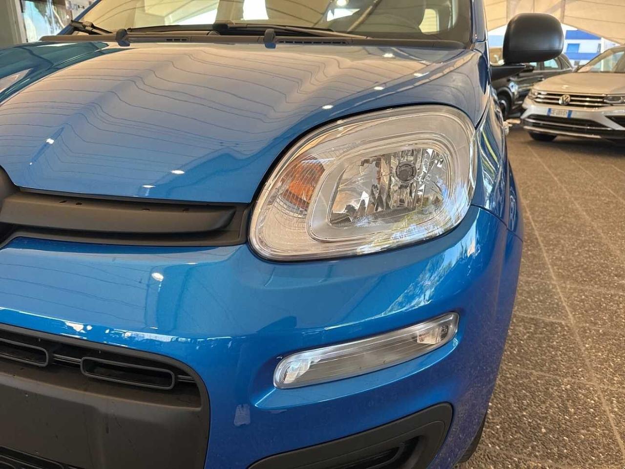 Fiat Fiat Panda usata 13