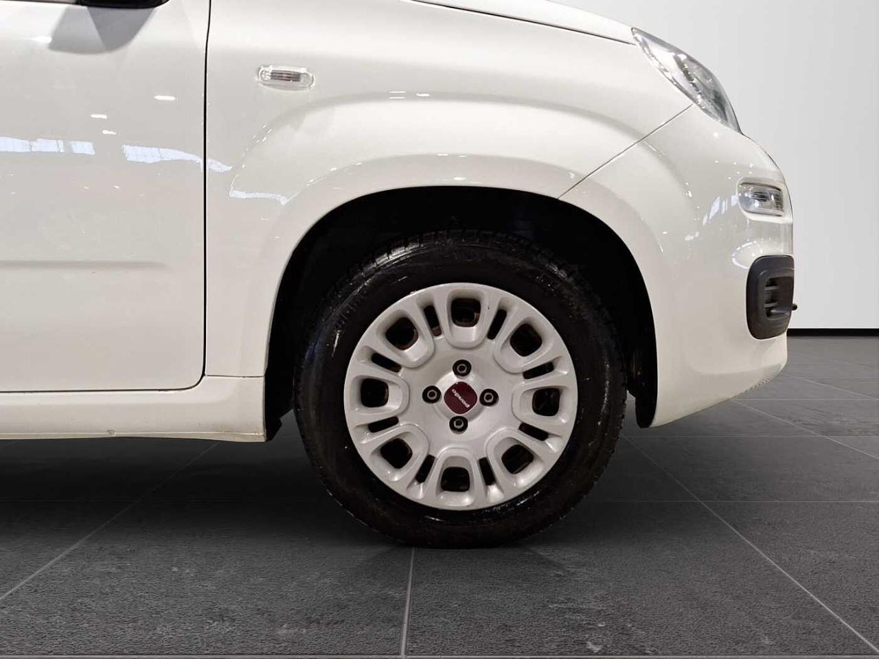 Fiat Fiat Panda usata 14