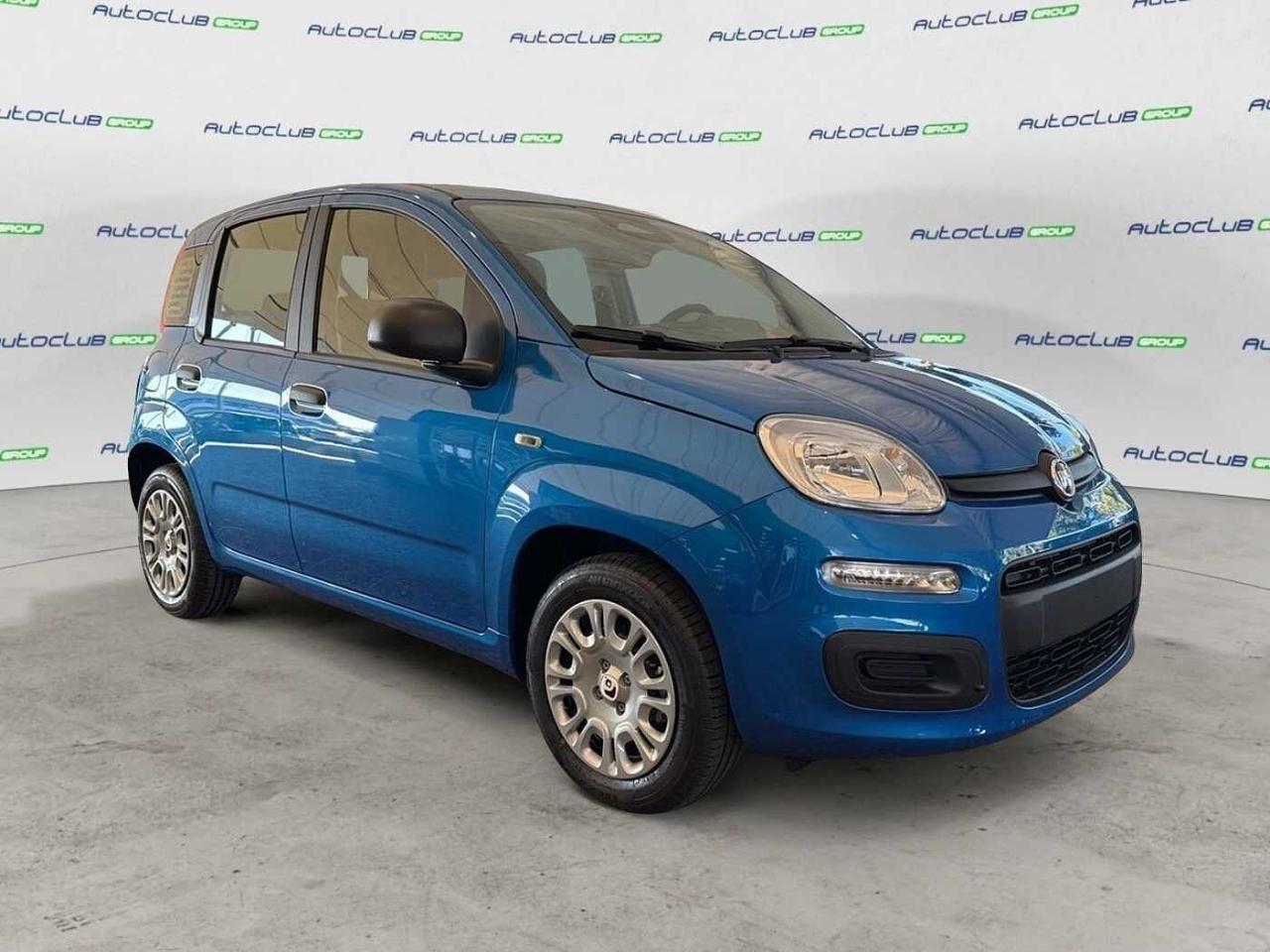 Fiat Fiat Panda usata 17
