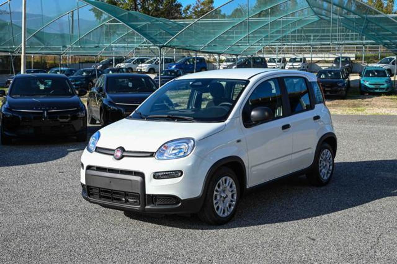 fiat panda panda 1.0 firefly s and s hybrid pandina usata