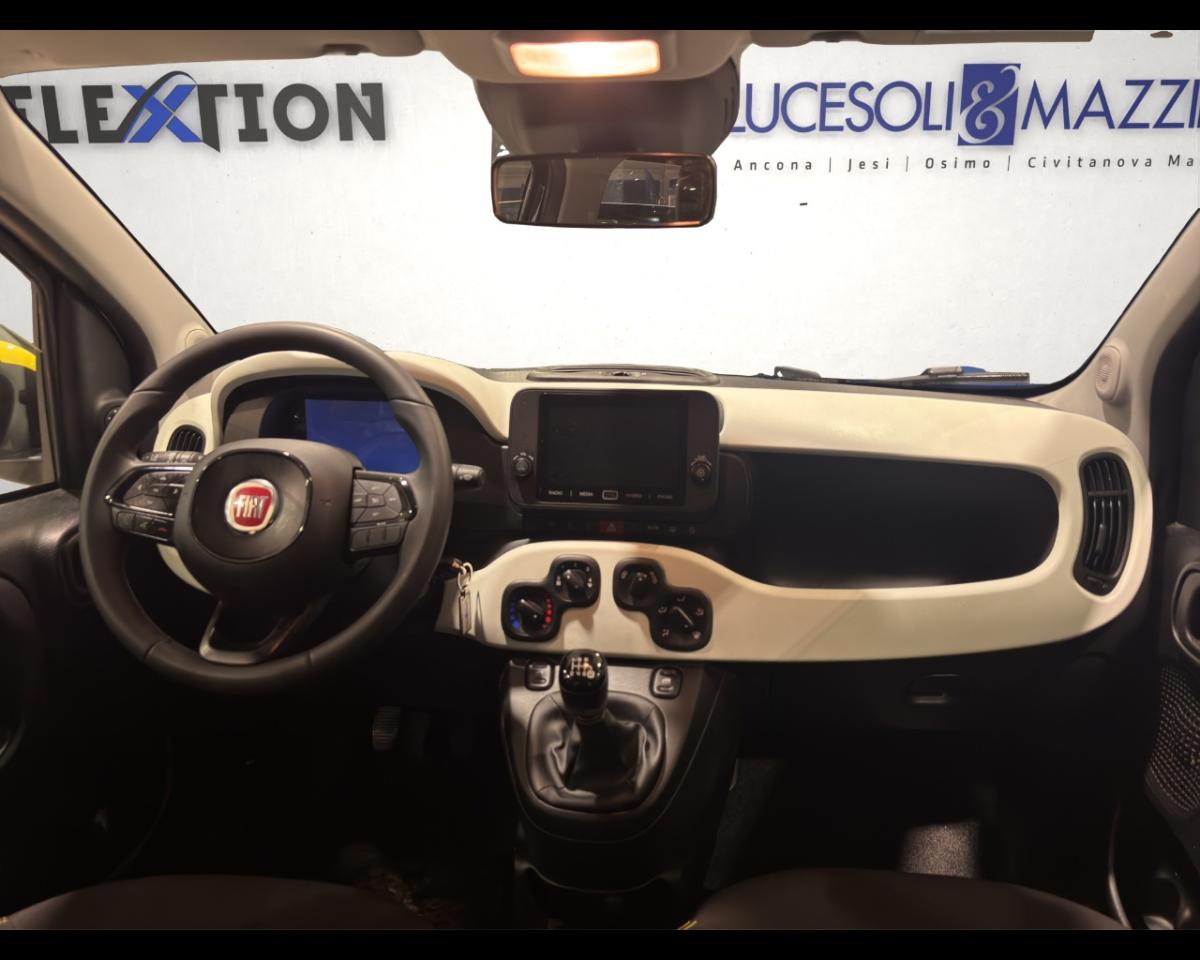 Fiat Fiat Panda usata 5