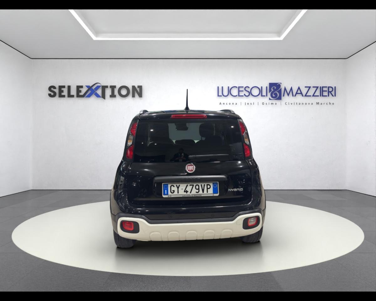 Fiat Fiat Panda usata 13