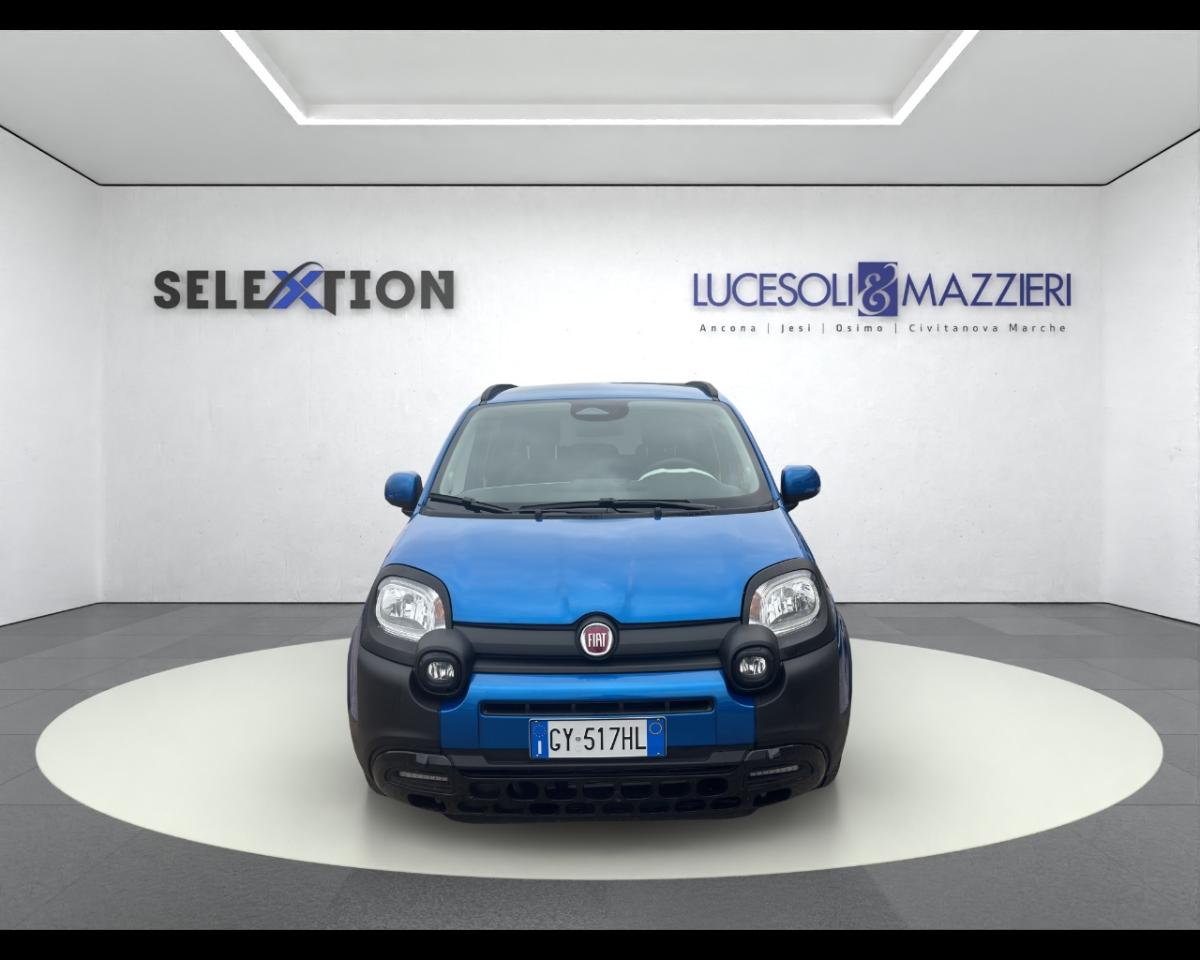 Fiat Fiat Panda usata 12