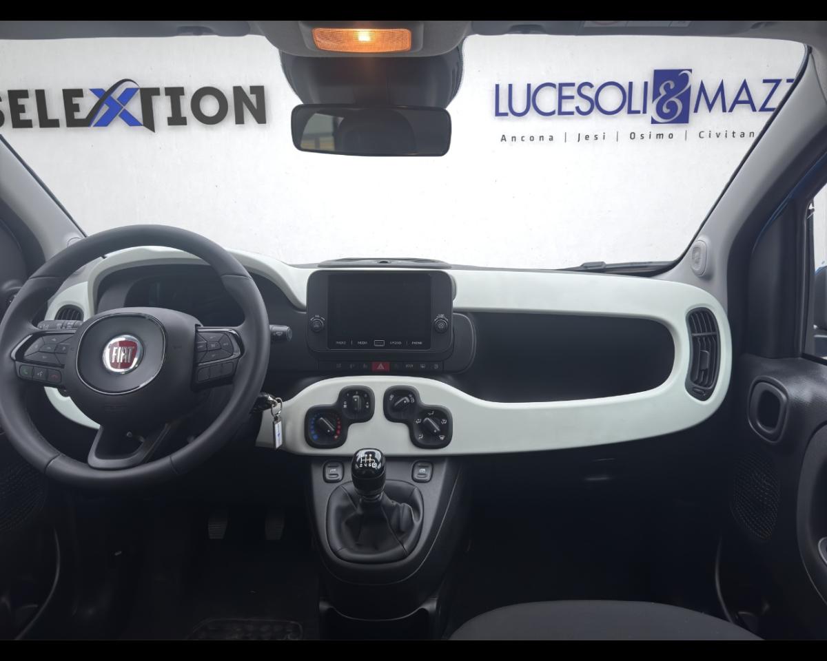 Fiat Fiat Panda usata 19