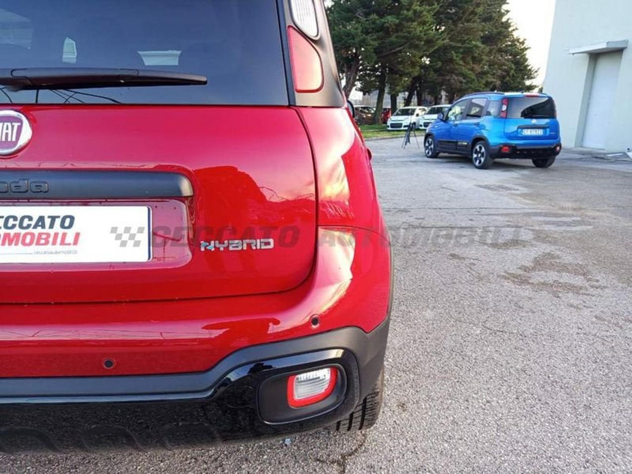 Fiat Fiat Panda usata 10