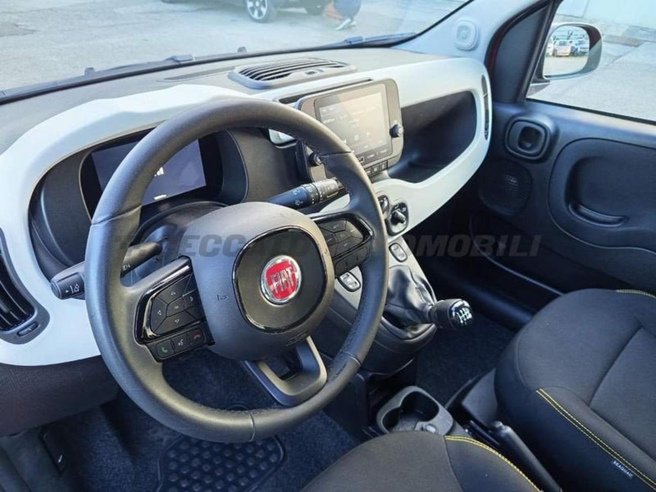Fiat Fiat Panda usata 12