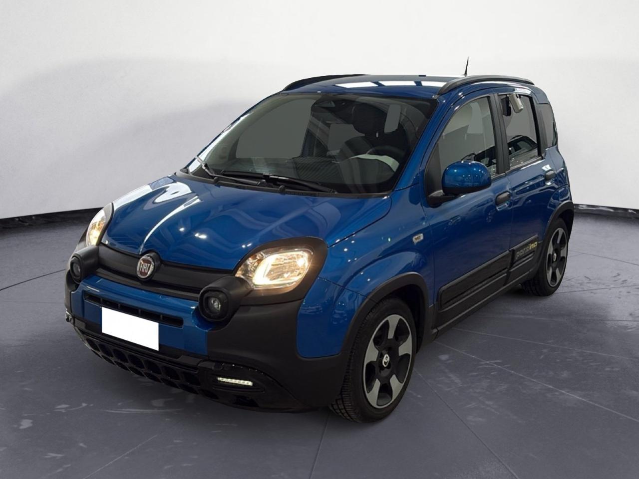Fiat Fiat Panda usata 11