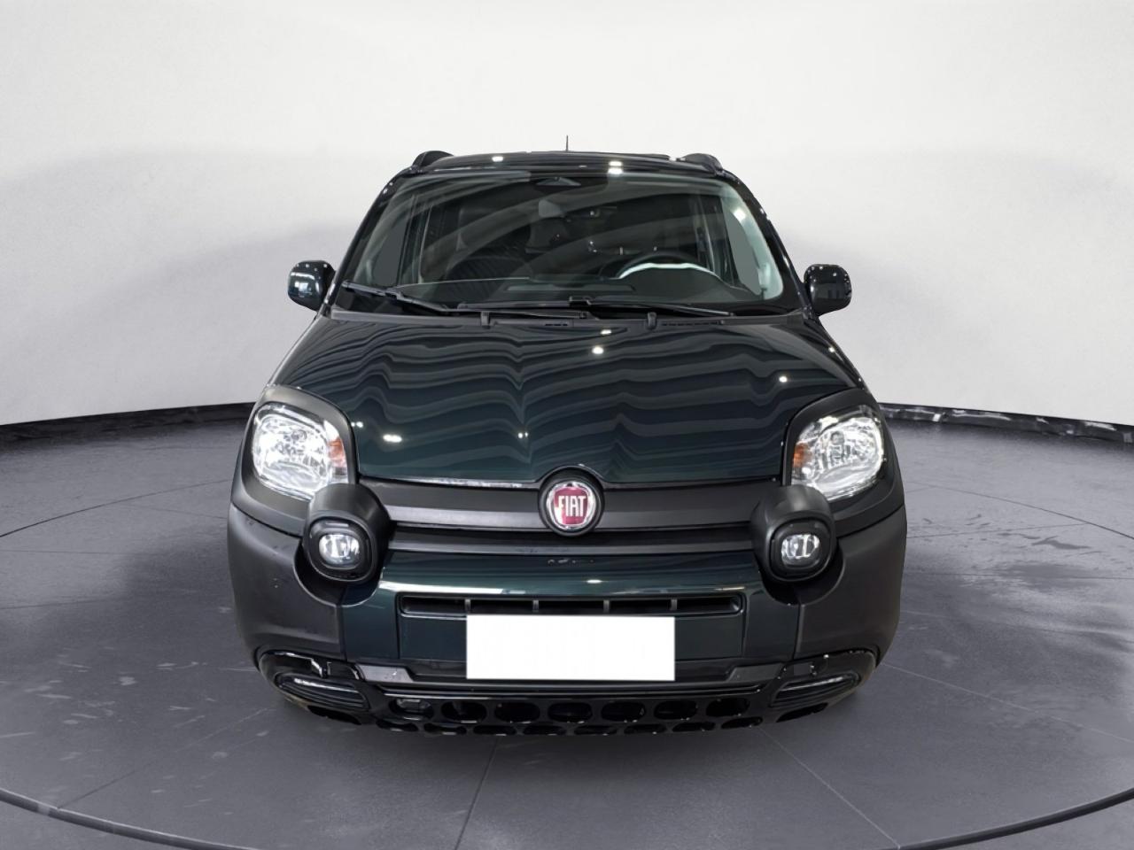 Fiat Fiat Panda usata 21