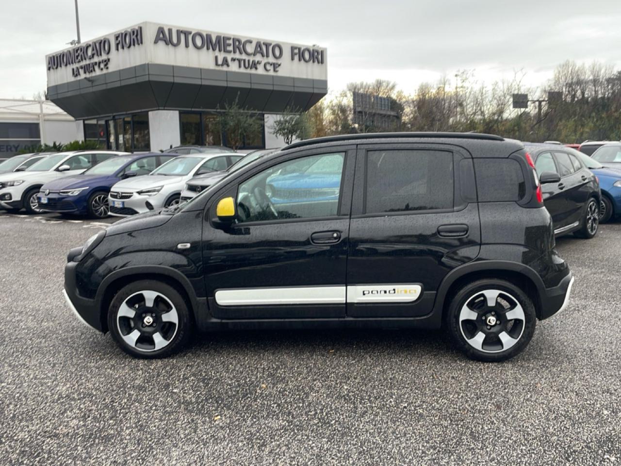 Fiat Fiat Panda usata 21