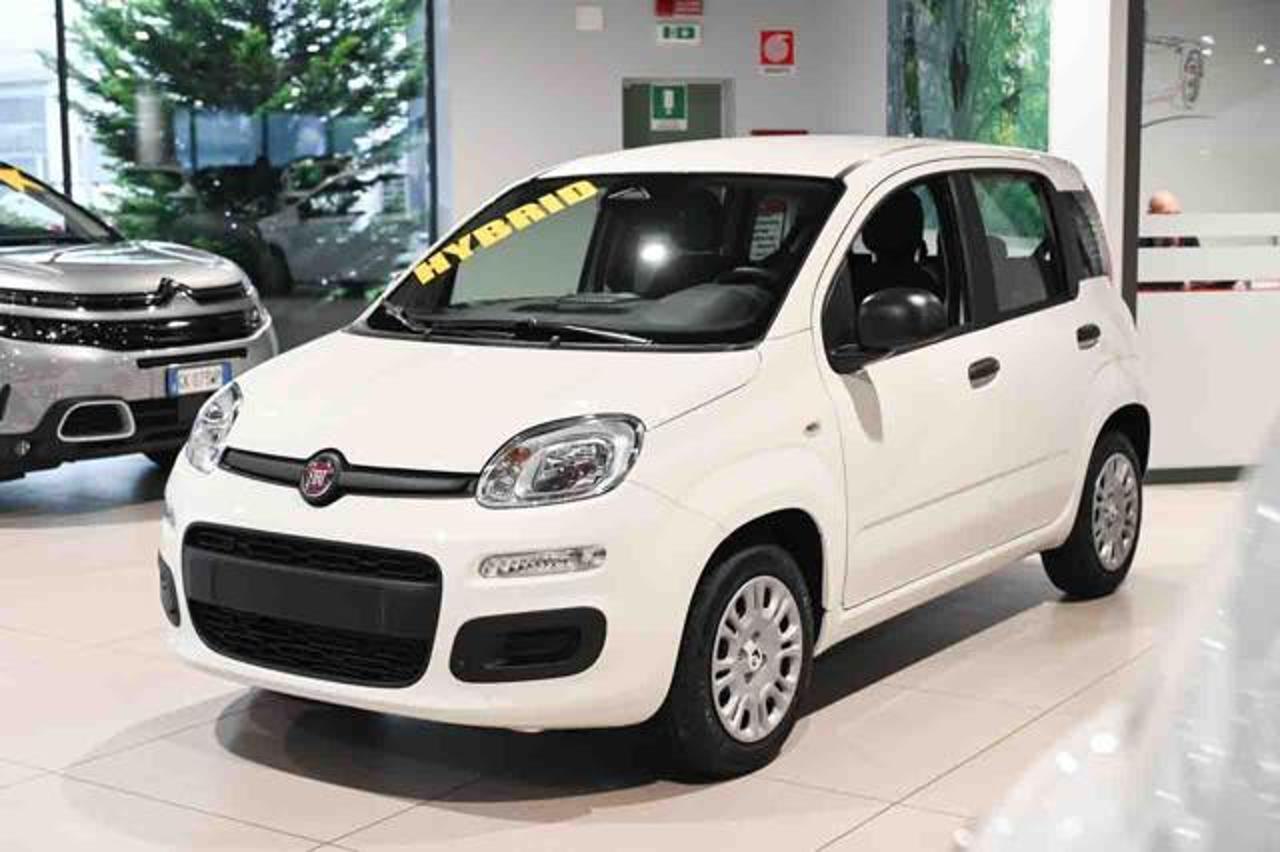 fiat panda panda 1.0 firefly s and s hybrid icon usata