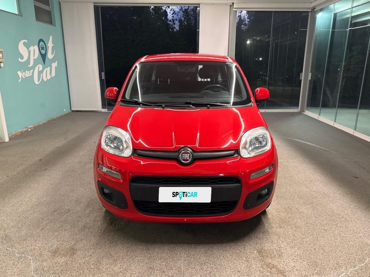 Fiat Fiat Panda usata 11