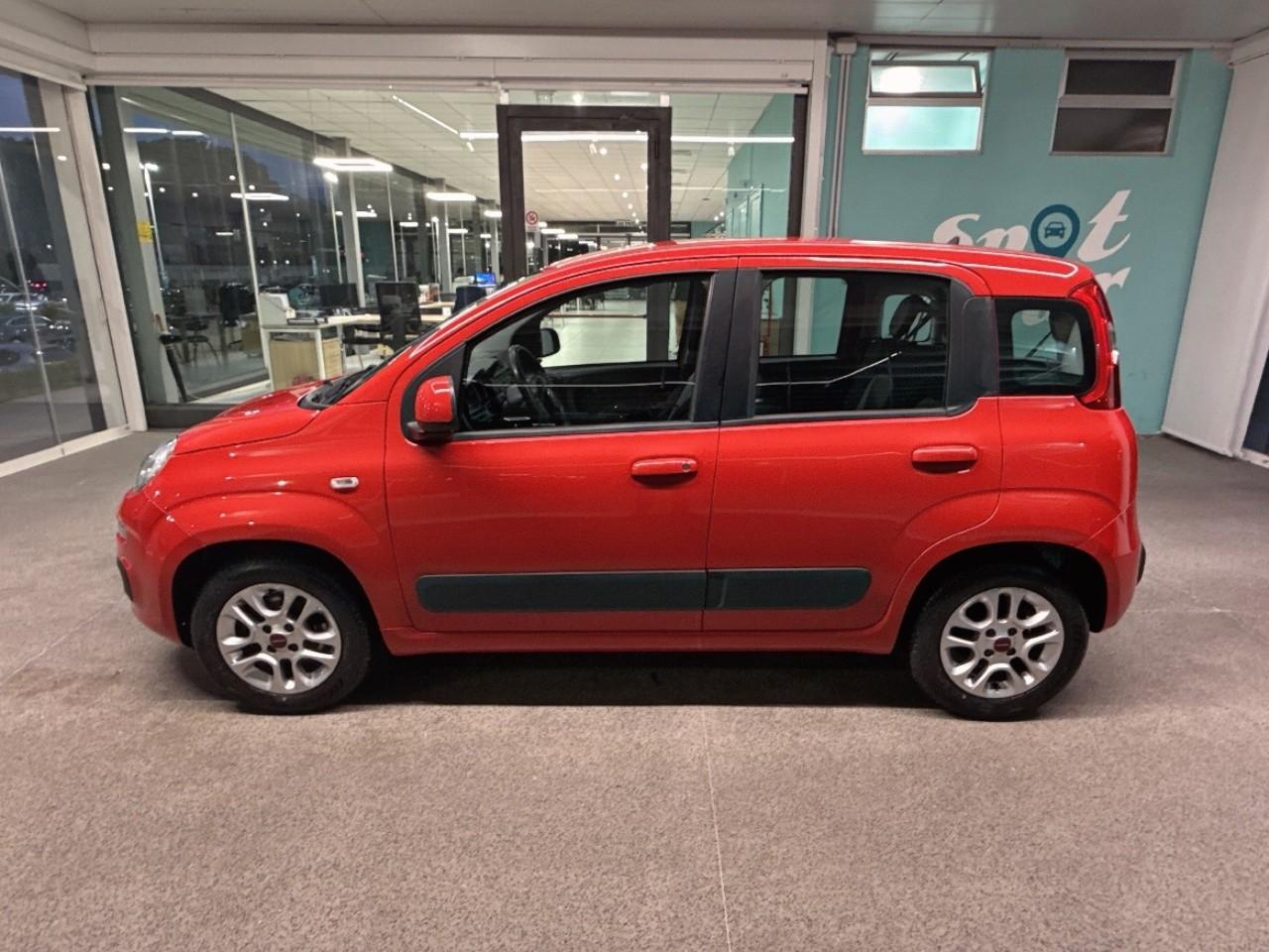 Fiat Fiat Panda usata 14