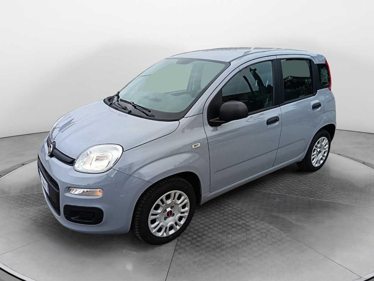 fiat panda panda 1.2 easy usata