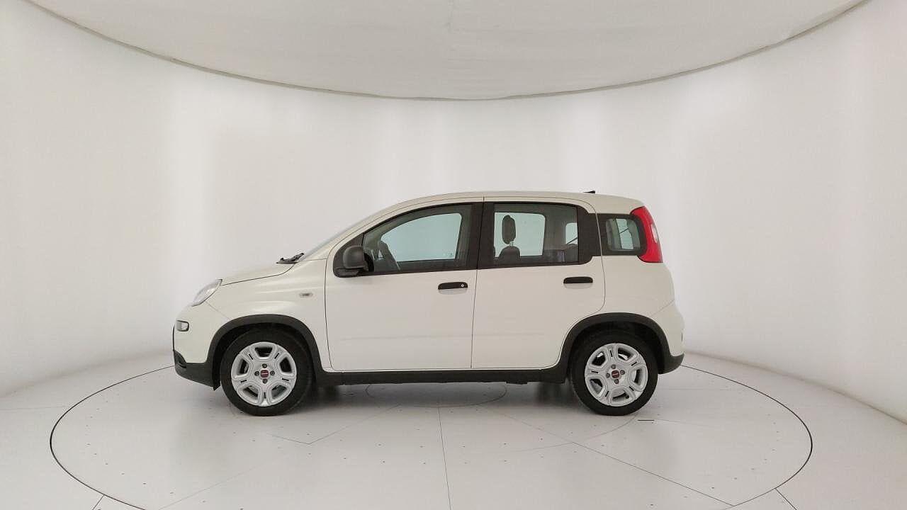 Fiat Fiat Panda usata 22