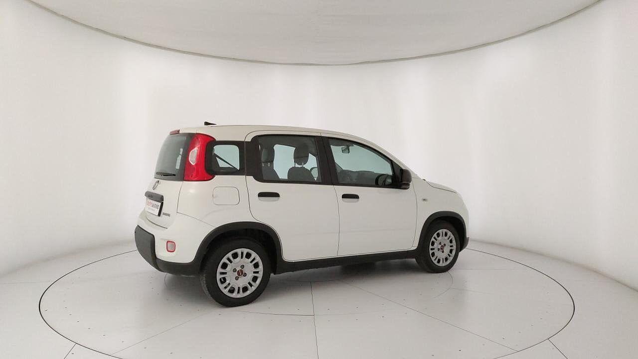 Fiat Fiat Panda usata 23