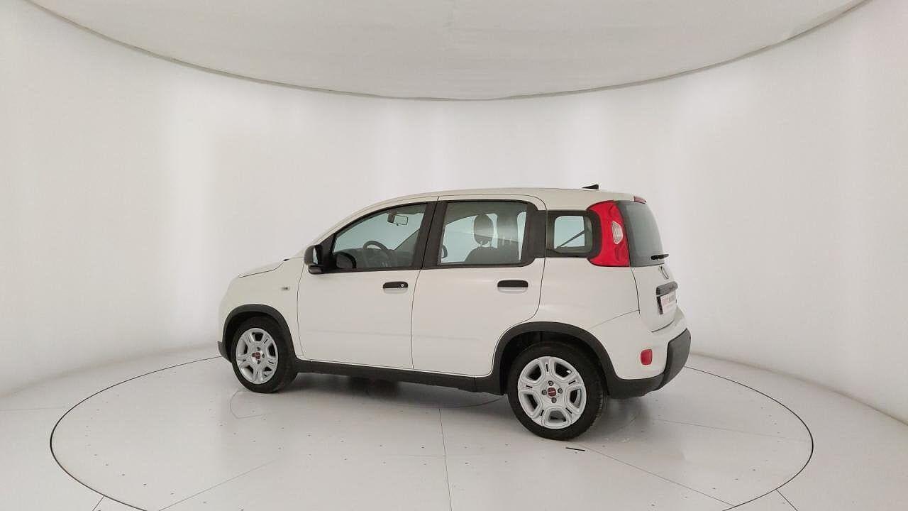 Fiat Fiat Panda usata 24