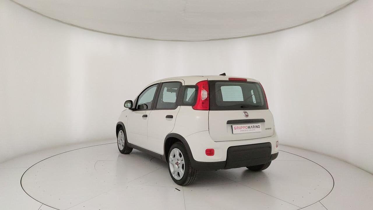 Fiat Fiat Panda usata 25