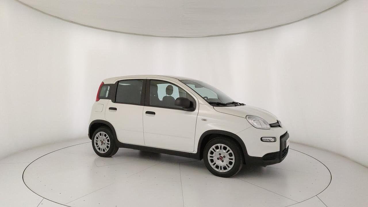Fiat Fiat Panda usata 1
