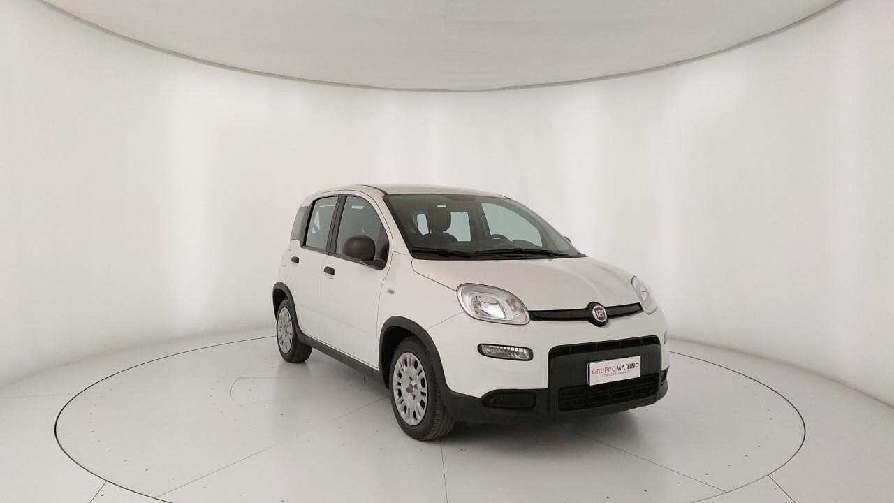 Fiat Fiat Panda usata 2