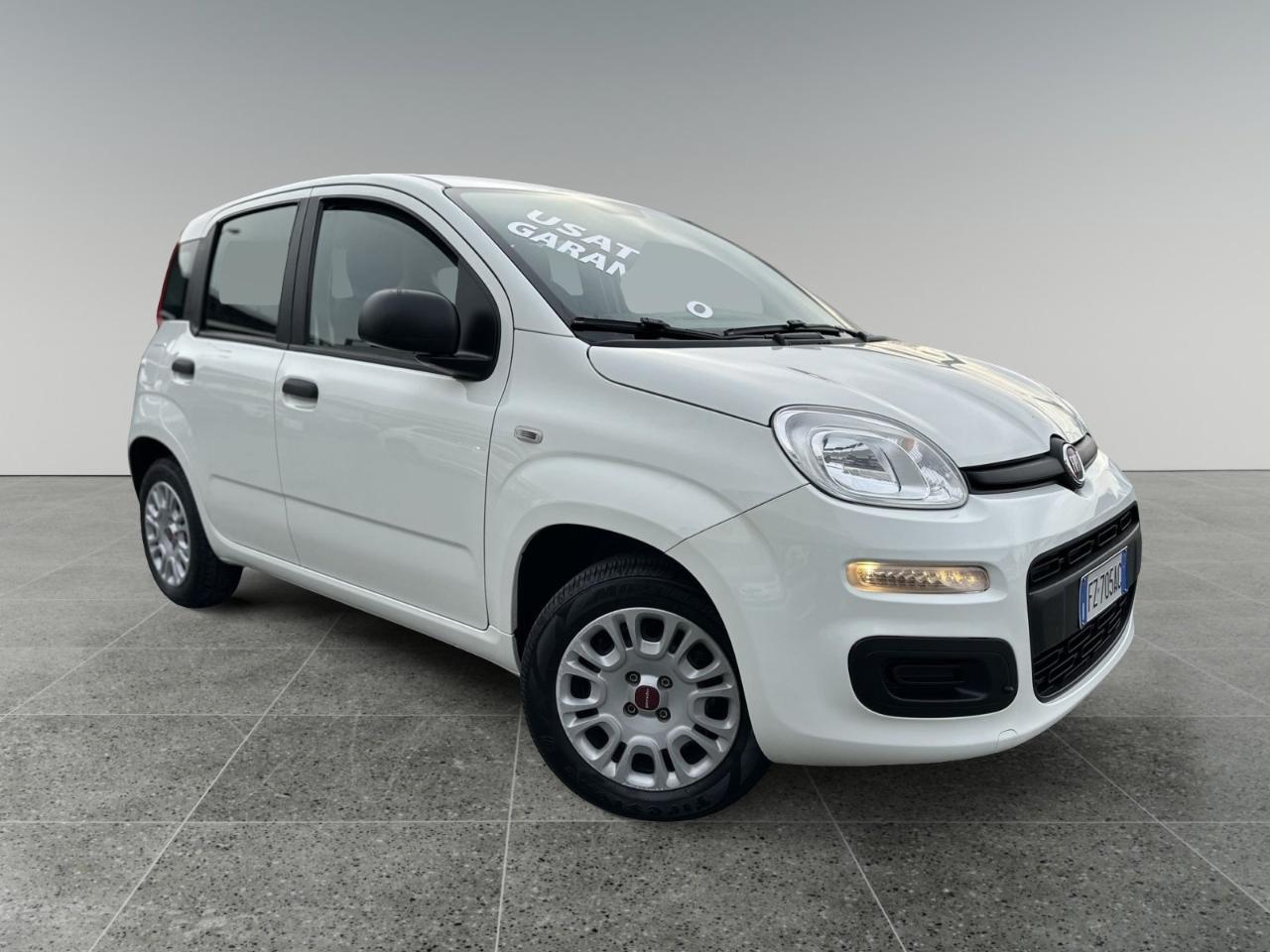 fiat panda panda 1.2 easy usata