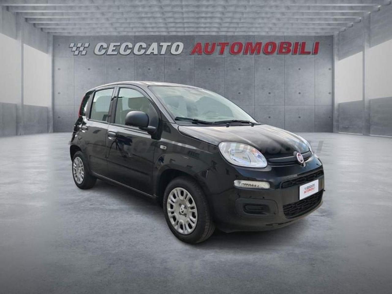 Fiat Fiat Panda usata 7