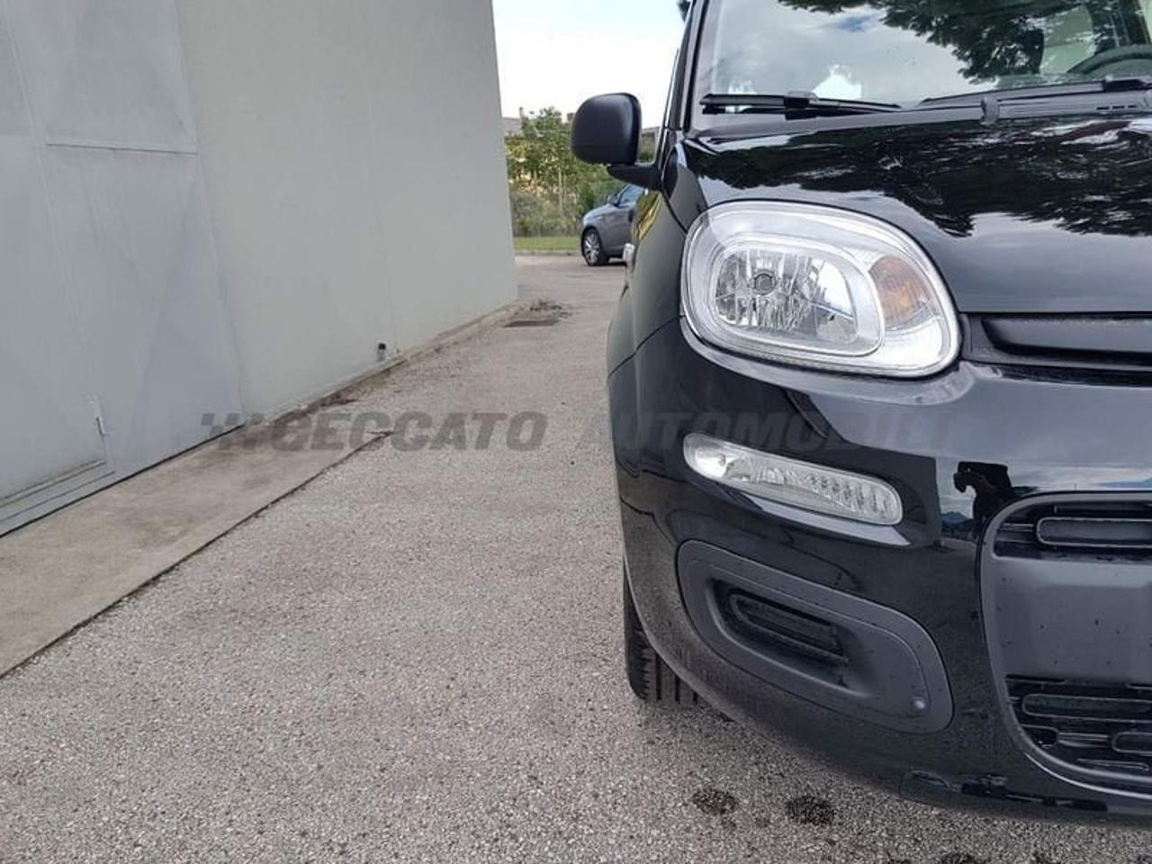 Fiat Fiat Panda usata 9