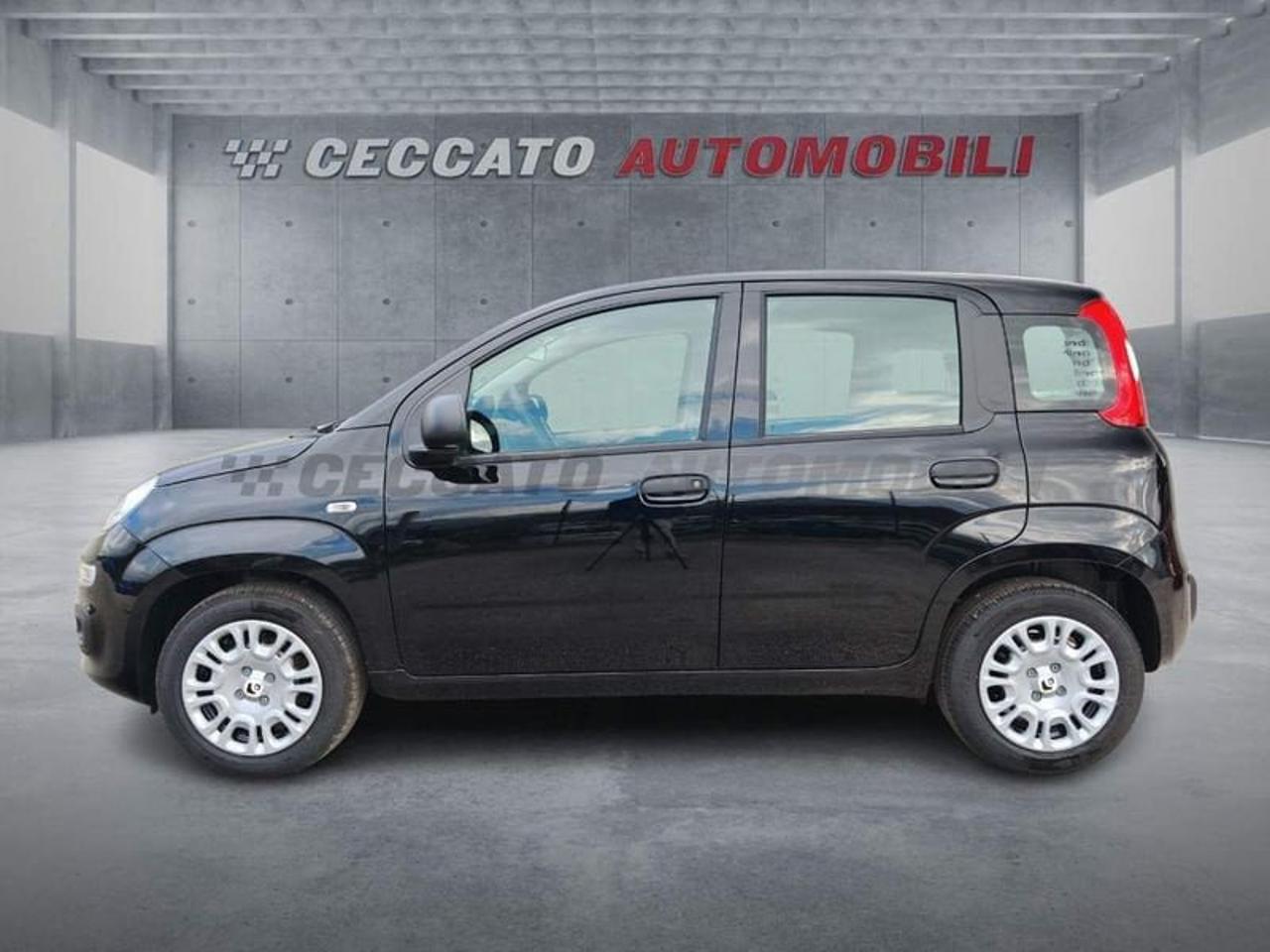 Fiat Fiat Panda usata 11