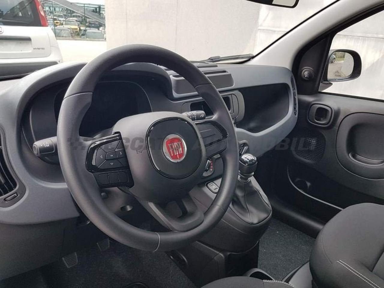 Fiat Fiat Panda usata 12