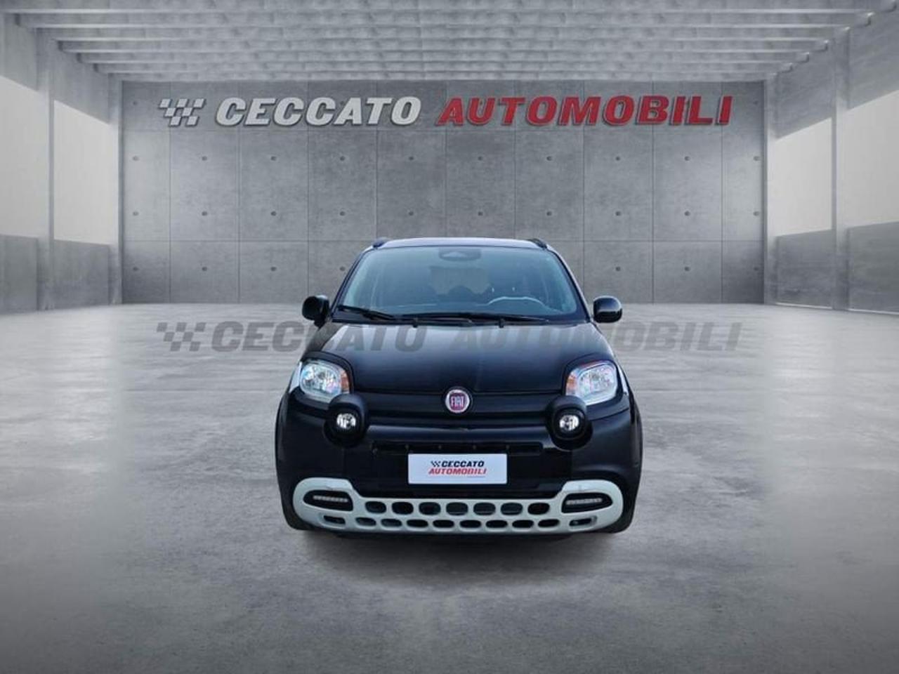 Fiat Fiat Panda usata 19