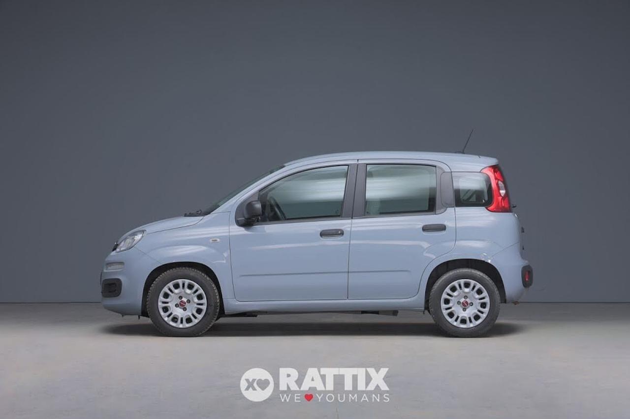 Fiat Fiat Panda usata 11