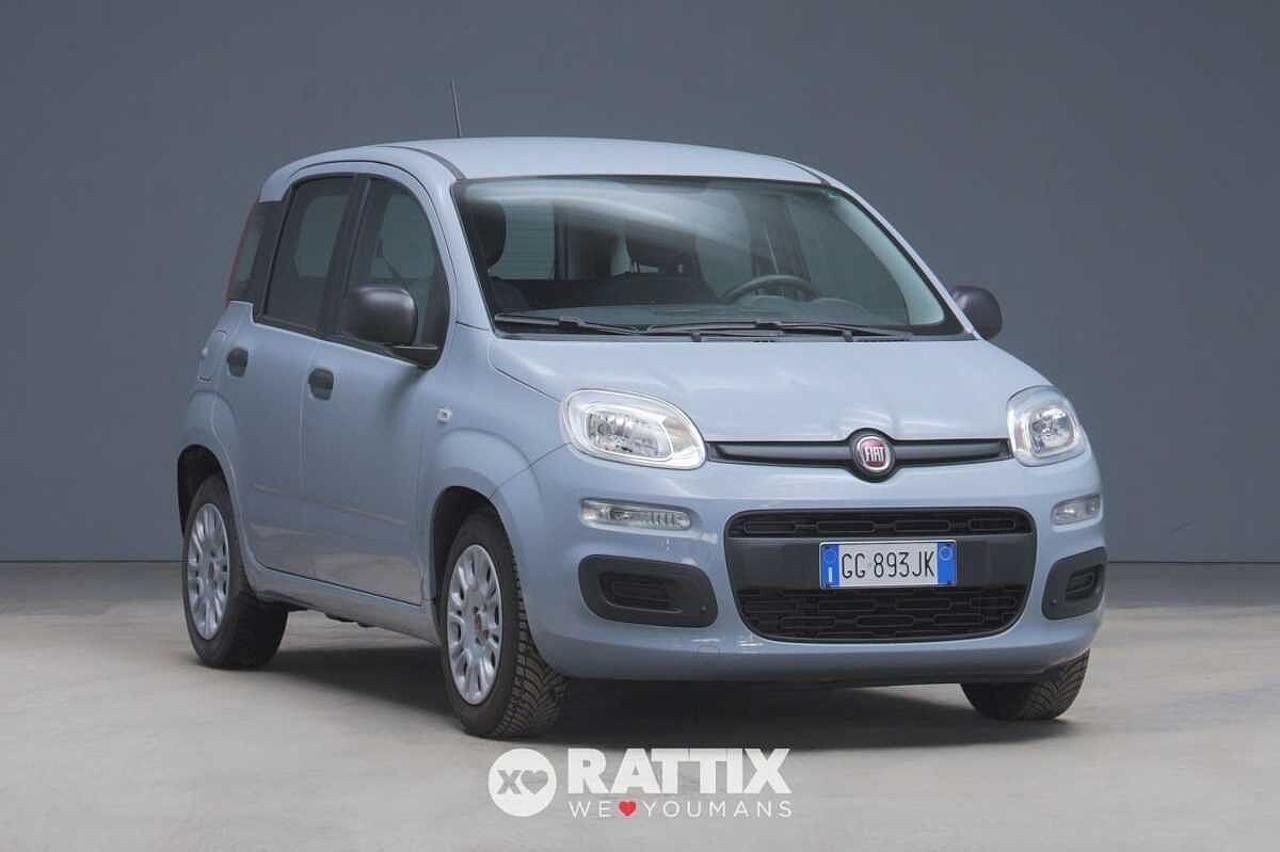 Fiat Fiat Panda usata 12