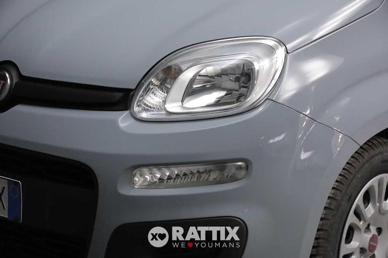 Fiat Fiat Panda usata 13
