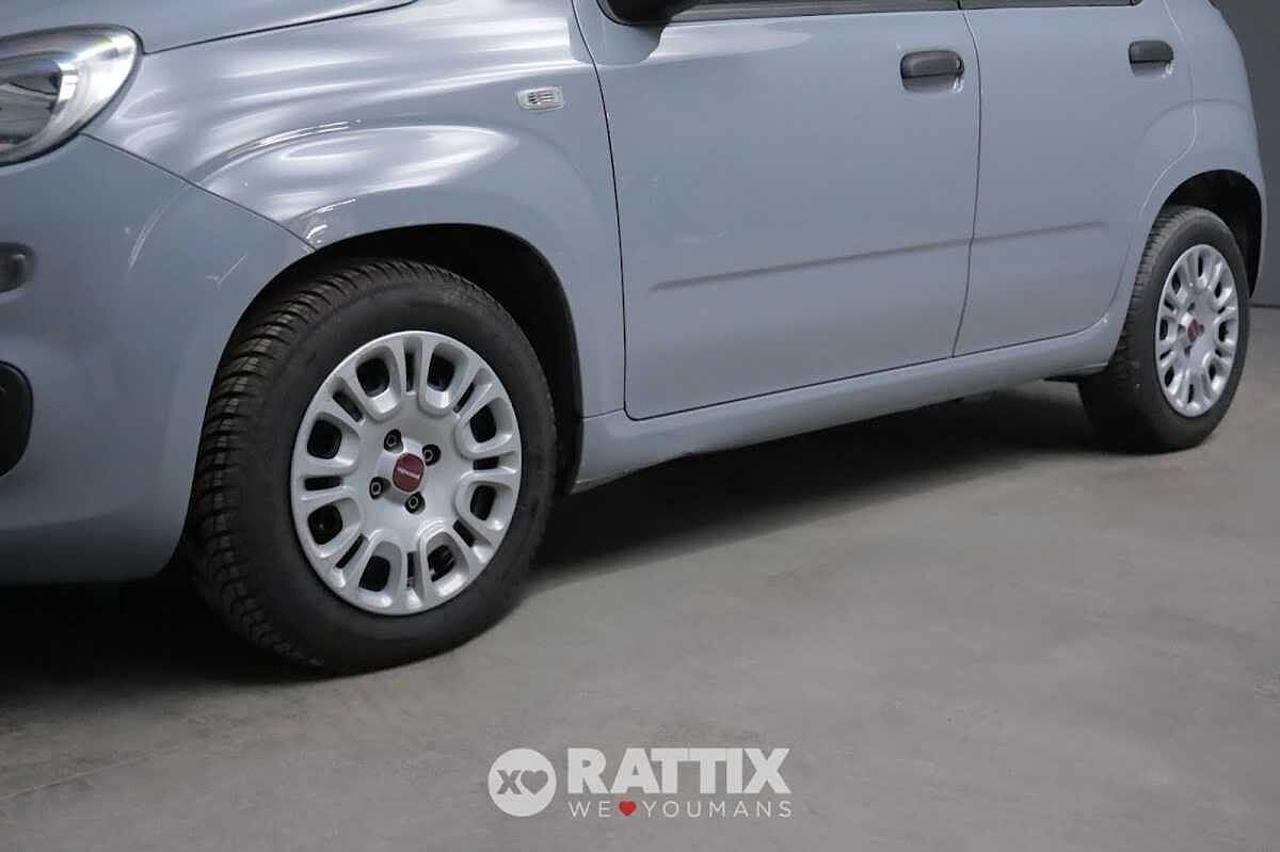 Fiat Fiat Panda usata 14
