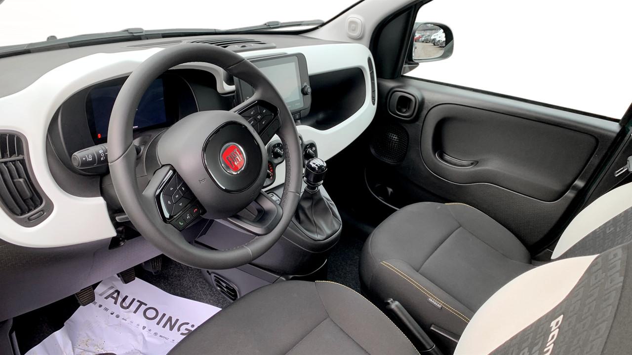 Fiat Fiat Panda usata 2