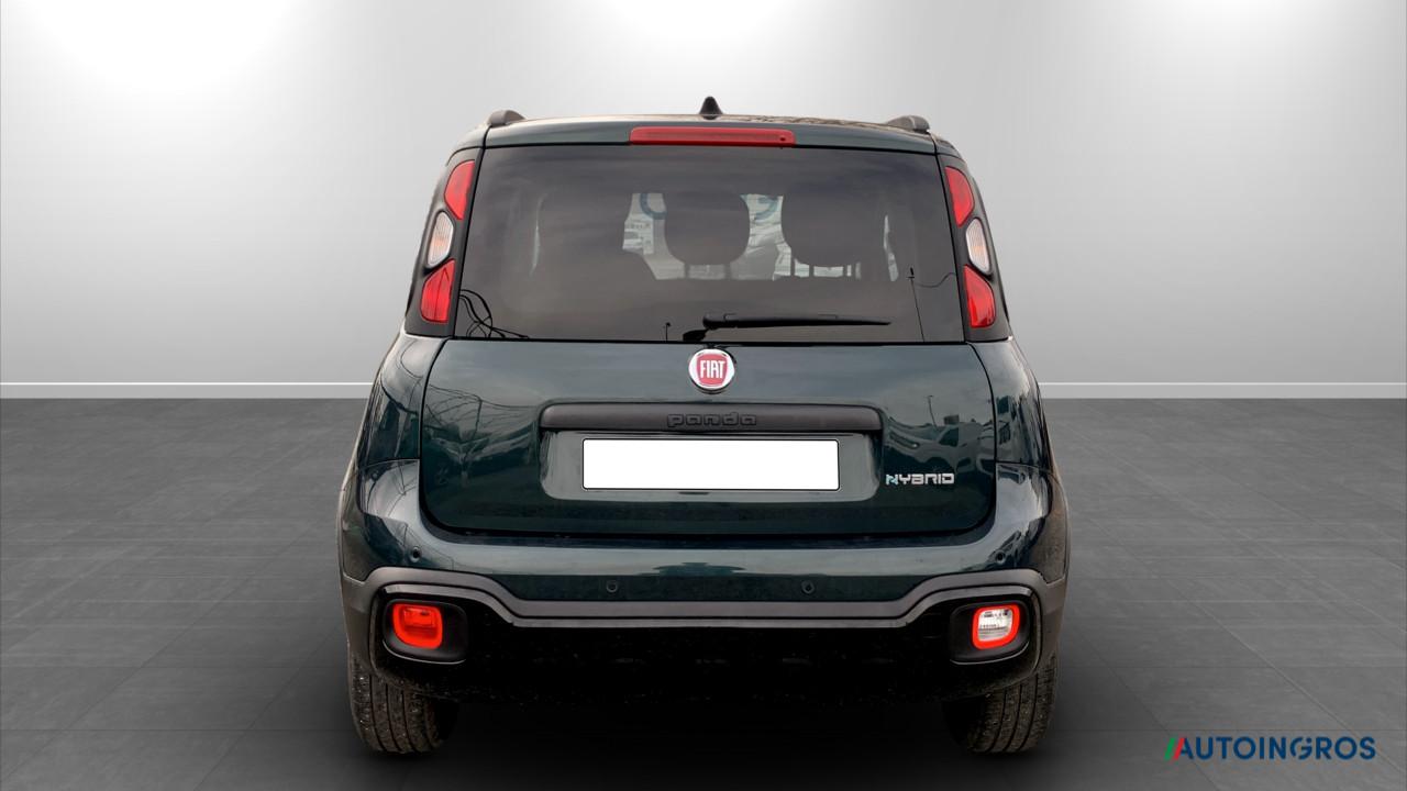Fiat Fiat Panda usata 10