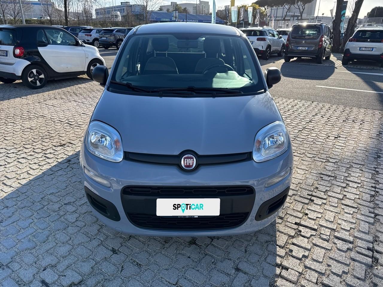 Fiat Fiat Panda usata 11