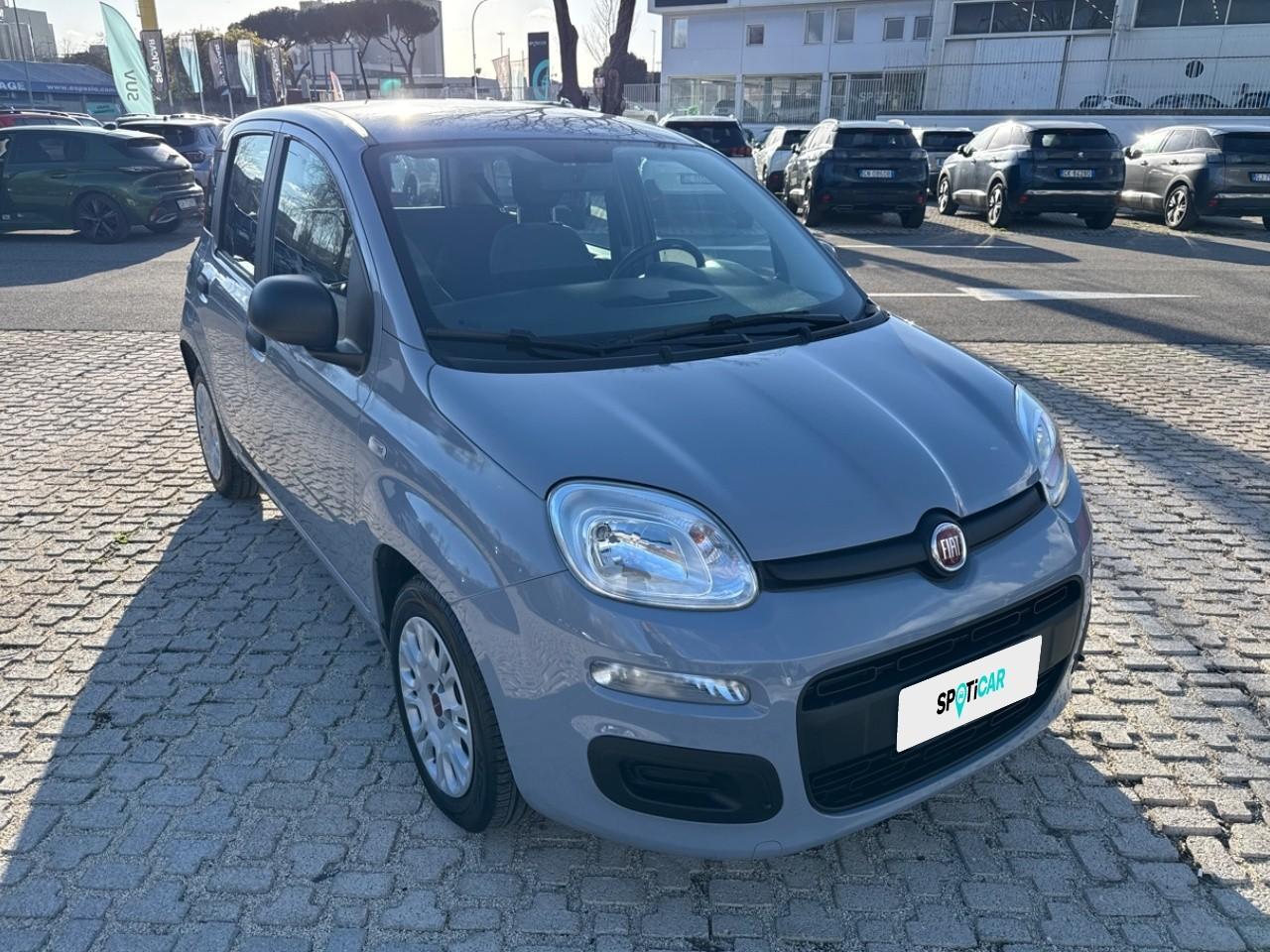 Fiat Fiat Panda usata 14