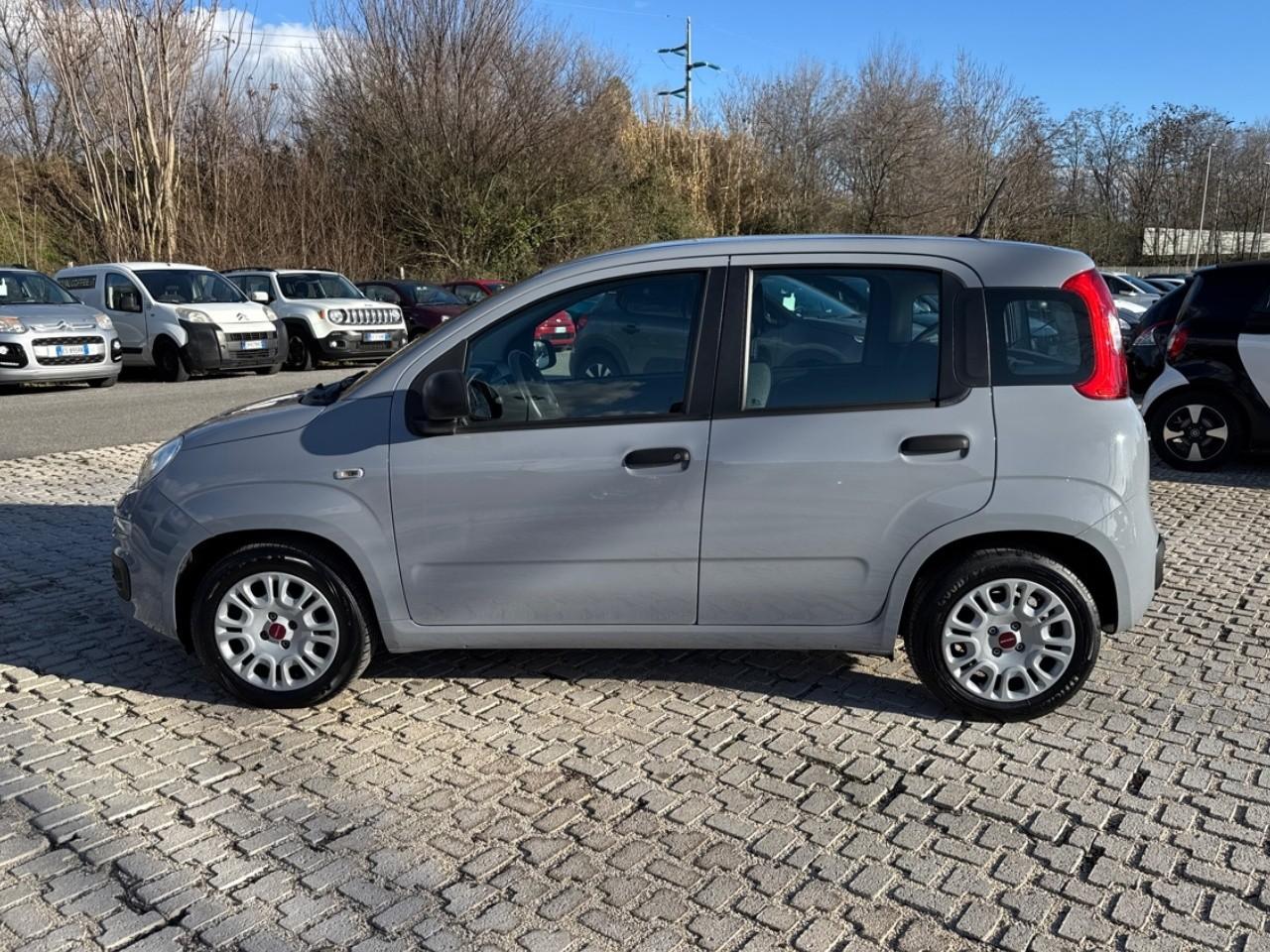 Fiat Fiat Panda usata 15