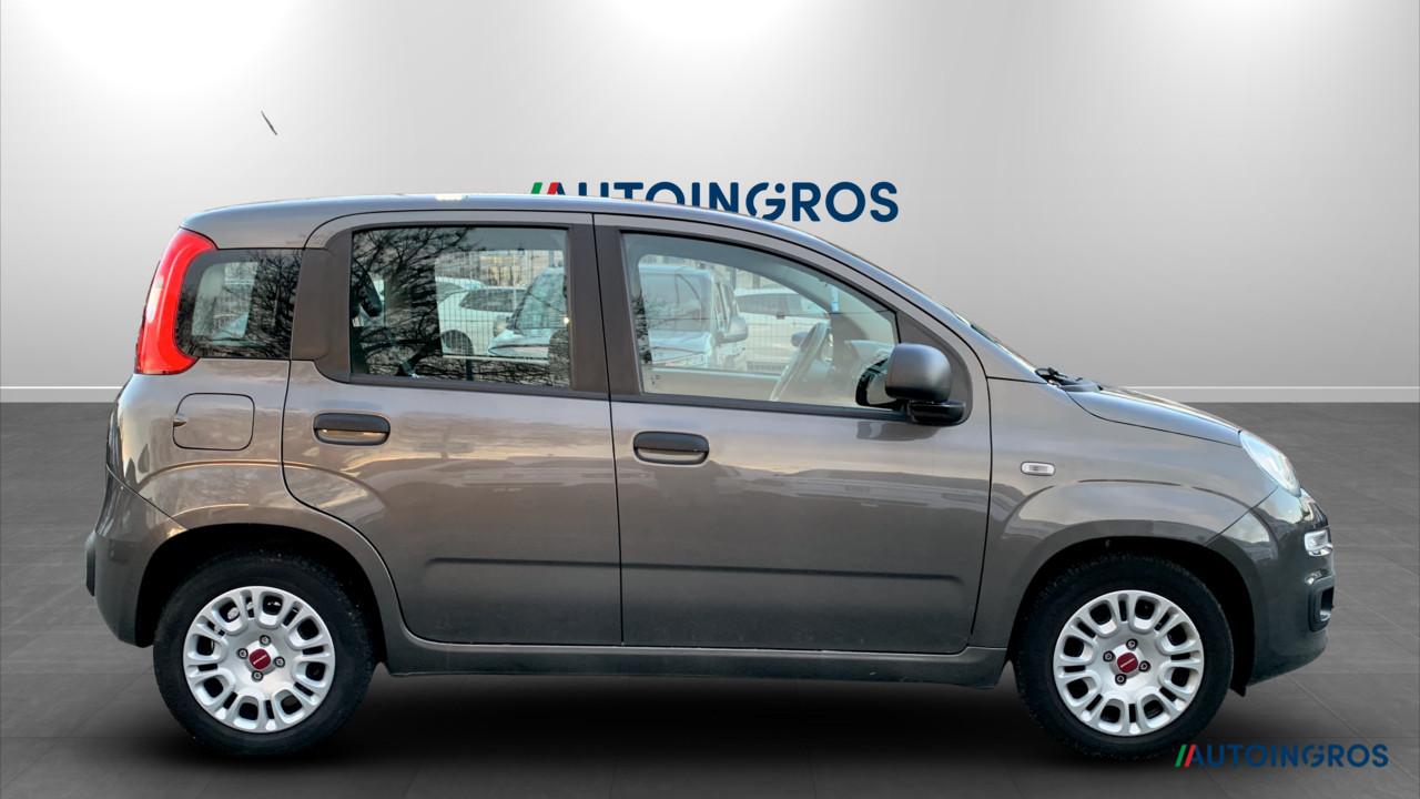 Fiat Fiat Panda usata 12