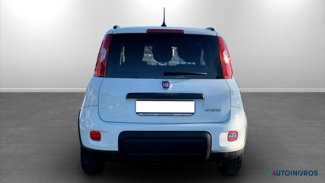 Fiat Fiat Panda usata 10