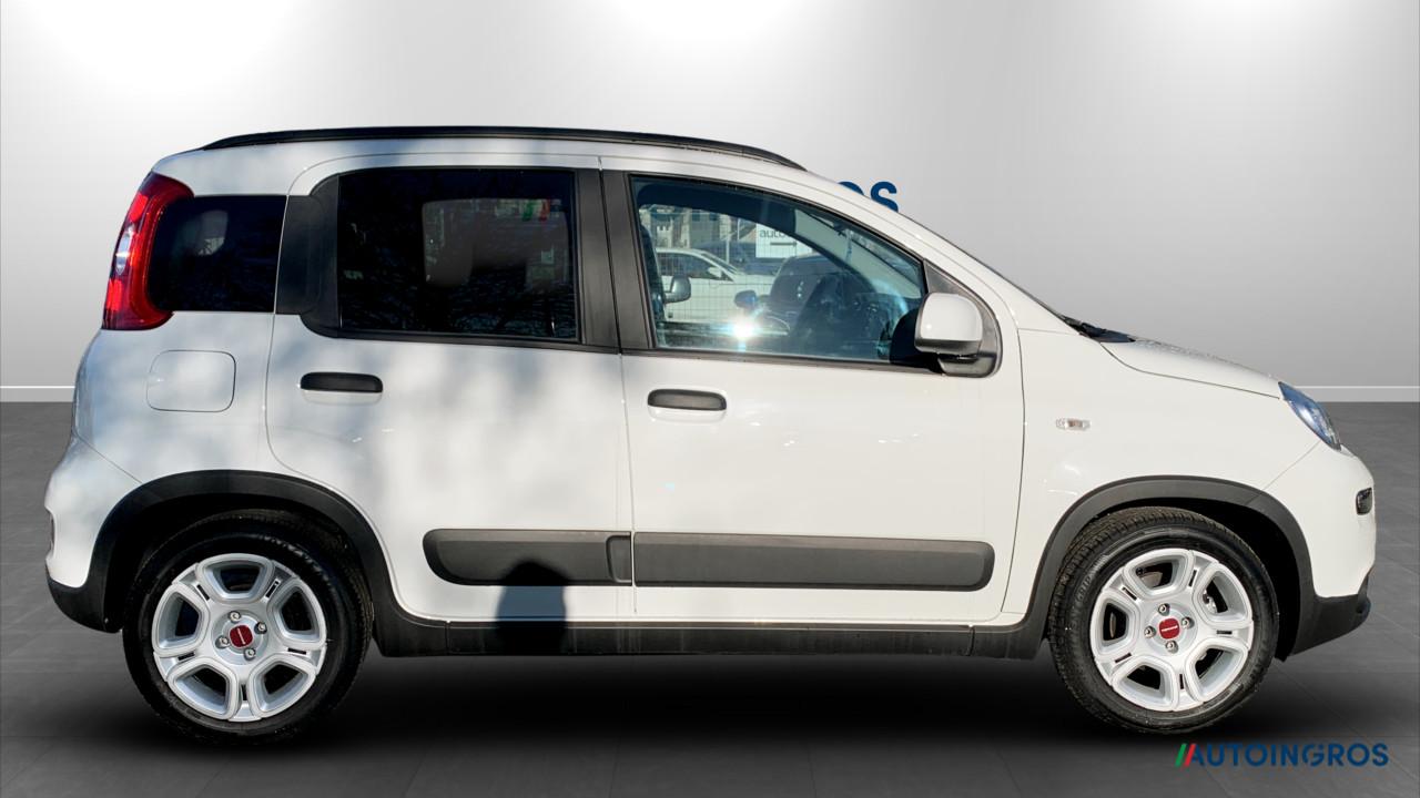 Fiat Fiat Panda usata 12