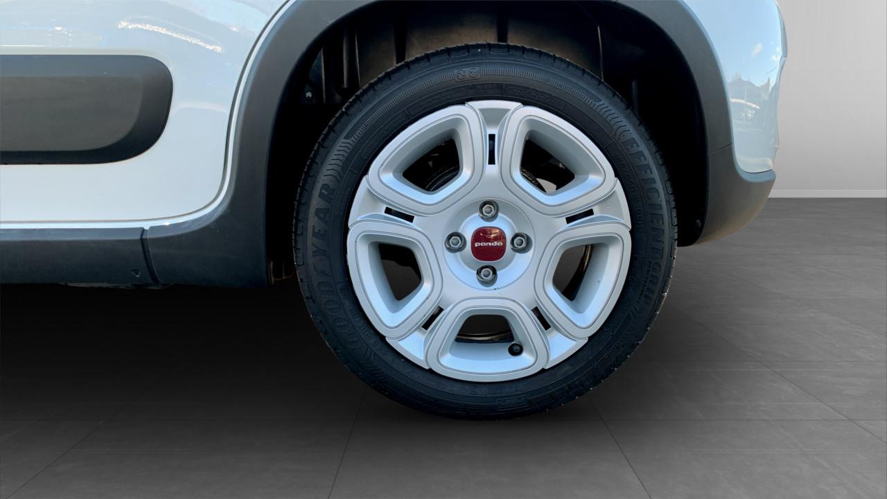 Fiat Fiat Panda usata 15