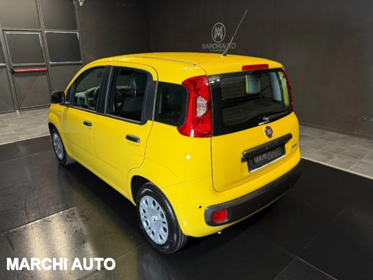 Fiat Fiat Panda usata 16