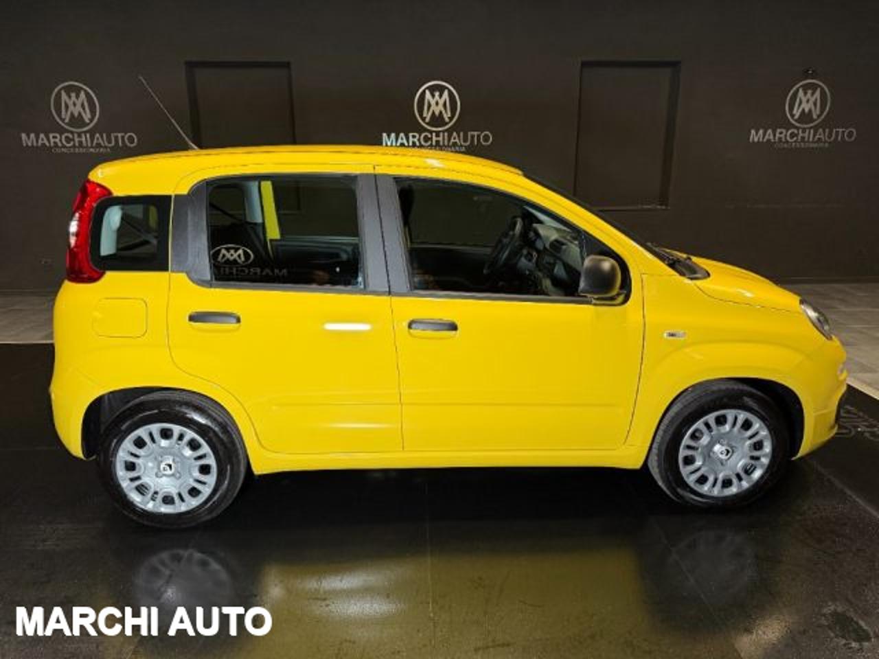 Fiat Fiat Panda usata 13