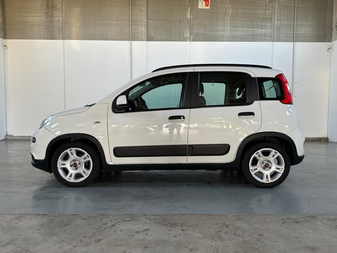 Fiat Fiat Panda usata 14