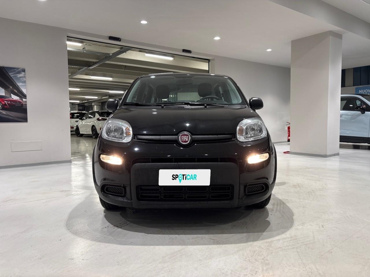 Fiat Fiat Panda usata 11